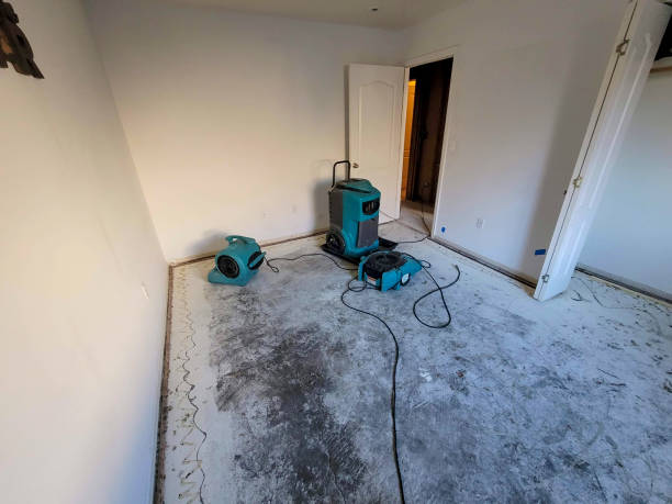 Best Water damage restoration near me  in Cavalero, WA